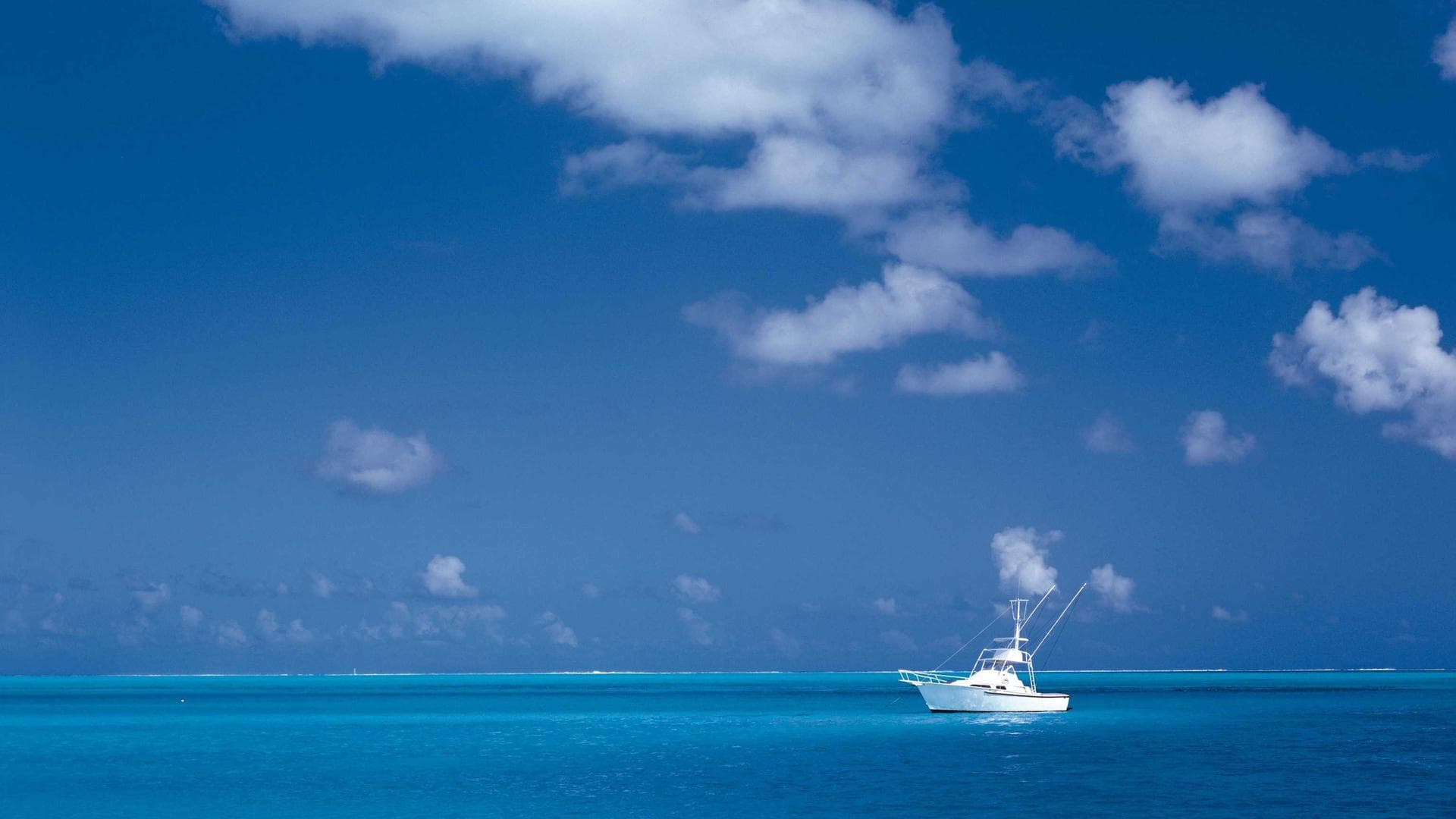 Happy students laughing together on campus
