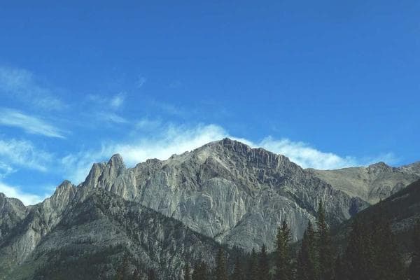 Técnico en Cosmetología